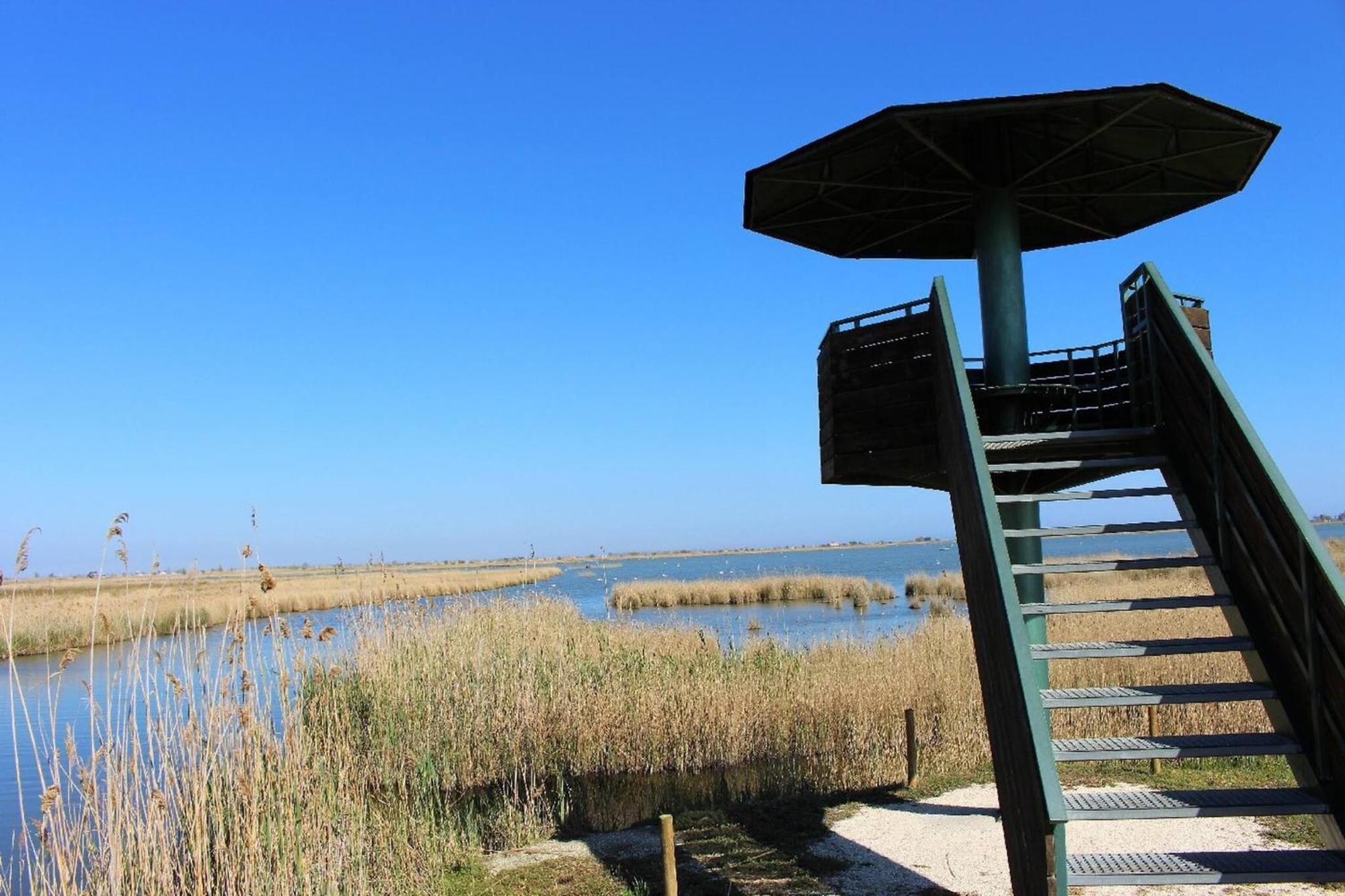 Quet - Con Piscina Privada En El Delta Del Ebro - Deltavacaciones Deltebre